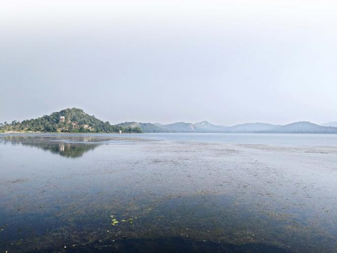 When the lake is alive! - A 'youth' experiment in Gondia district | तलाव जिवंत होतो तेव्हा! - गोंदिया जिल्ह्यातला एक ‘तरुण’ प्रयोग When the lake is alive! - A 'youth' experiment in Gondia district | तलाव जिवंत होतो तेव्हा! - गोंदिया जिल्ह्यातला एक ‘तरुण’ प्रयोग
