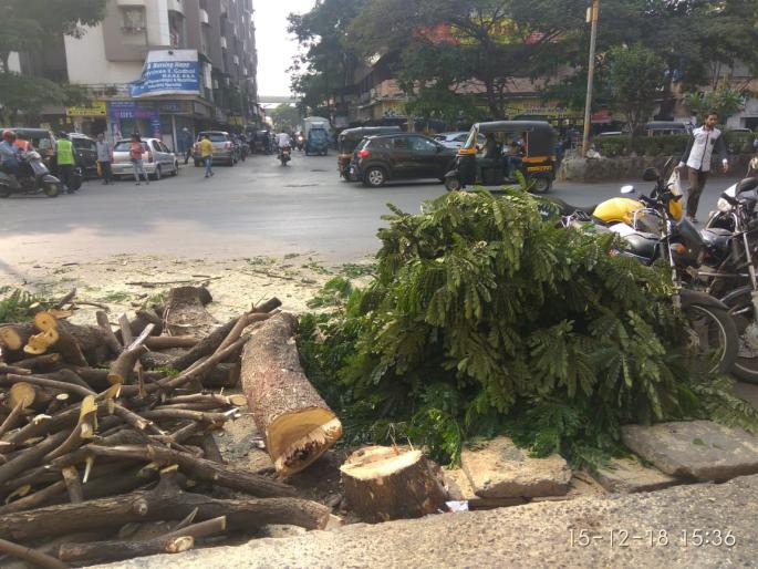 Large tree cutting from a municipal corporation; Accused of being illegal | मीरारोड येथे पालिकेकडून मोठी वृक्षतोड; बेकायदा असल्याचा आरोप Large tree cutting from a municipal corporation; Accused of being illegal | मीरारोड येथे पालिकेकडून मोठी वृक्षतोड; बेकायदा असल्याचा आरोप