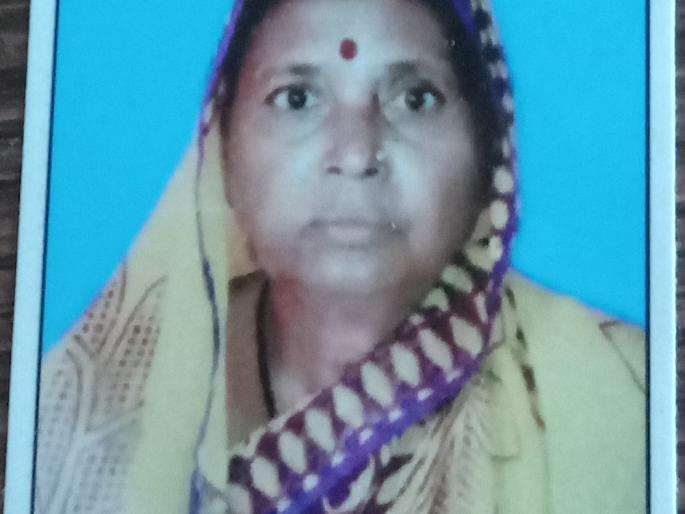 Car accident in Jalgaon; Death of a woman in a two-wheeler accident | जळगावात कार, दुचाकी अपघातातील जखमी महिलेचा मृत्यू Car accident in Jalgaon; Death of a woman in a two-wheeler accident | जळगावात कार, दुचाकी अपघातातील जखमी महिलेचा मृत्यू