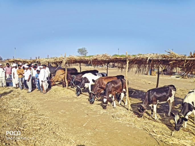 'Digital Drought' of Maharashtra! | डिजिटल दुष्काळ 