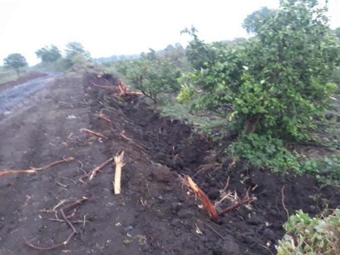 Pimpri Raja - Excavation of fields for digavan road work | पिंप्री राजा - डायगव्हाण रस्त्याच्या कामासाठी शेतात खोदकाम Pimpri Raja - Excavation of fields for digavan road work | पिंप्री राजा - डायगव्हाण रस्त्याच्या कामासाठी शेतात खोदकाम