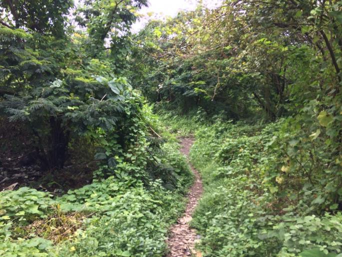 Vashi case: Police's conclusion that voluntary conduct but not of sexual assault | वाशीतील प्रकरण : लैंगिक अत्याचार नसून स्वेच्छेने प्रकार घडल्याचा पोलीसांचा निकष Vashi case: Police's conclusion that voluntary conduct but not of sexual assault | वाशीतील प्रकरण : लैंगिक अत्याचार नसून स्वेच्छेने प्रकार घडल्याचा पोलीसांचा निकष