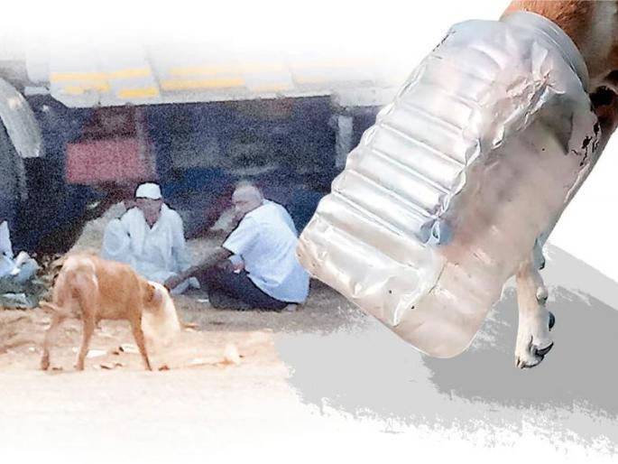 Humanity has gone! | माणुसकी घुसमटली ! Humanity has gone! | माणुसकी घुसमटली !