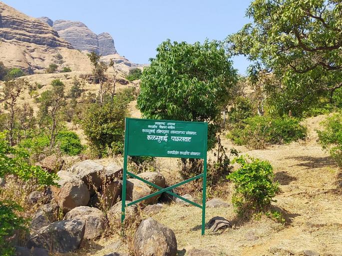 CoronaVirus: 'No Entry' in Nashik Division Sanctuaries till April 30 | CoronaVirus : नाशिक विभागातील अभयारण्यांमध्ये 30 एप्रिलपर्यंत 'नो एन्ट्री' CoronaVirus: 'No Entry' in Nashik Division Sanctuaries till April 30 | CoronaVirus : नाशिक विभागातील अभयारण्यांमध्ये 30 एप्रिलपर्यंत 'नो एन्ट्री'