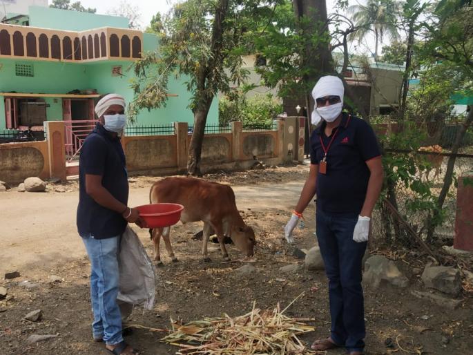 CoronaVirus: pasture water for animals in lockdown; Honorable activities of youth in Ambajogai | CoronaVirus : लॉकडाऊनमध्ये जनावरांना चारा-पाण्याची व्यवस्था; अंबाजोगाईत युवकांचा स्तुत्य उपक्रम CoronaVirus: pasture water for animals in lockdown; Honorable activities of youth in Ambajogai | CoronaVirus : लॉकडाऊनमध्ये जनावरांना चारा-पाण्याची व्यवस्था; अंबाजोगाईत युवकांचा स्तुत्य उपक्रम