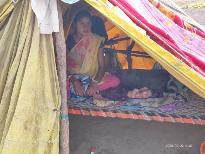 CoronaVirus: No light, no vehicle ... Finally, a female laborer gave child birth in the hut | CoronaVirus : लाईट नाही, जवळ गाडी नाही...अखेर महिला मजुराने झोपडीतच दिला बाळाला जन्म CoronaVirus: No light, no vehicle ... Finally, a female laborer gave child birth in the hut | CoronaVirus : लाईट नाही, जवळ गाडी नाही...अखेर महिला मजुराने झोपडीतच दिला बाळाला जन्म