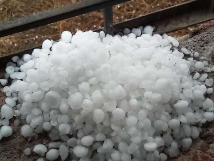 Hail with strong winds in Madha, Sangola, Karmala and Barshi areas | माढा, सांगोला, करमाळा, बार्शी परिसरात वादळी वाºयासह गारांचा पाऊस Hail with strong winds in Madha, Sangola, Karmala and Barshi areas | माढा, सांगोला, करमाळा, बार्शी परिसरात वादळी वाºयासह गारांचा पाऊस