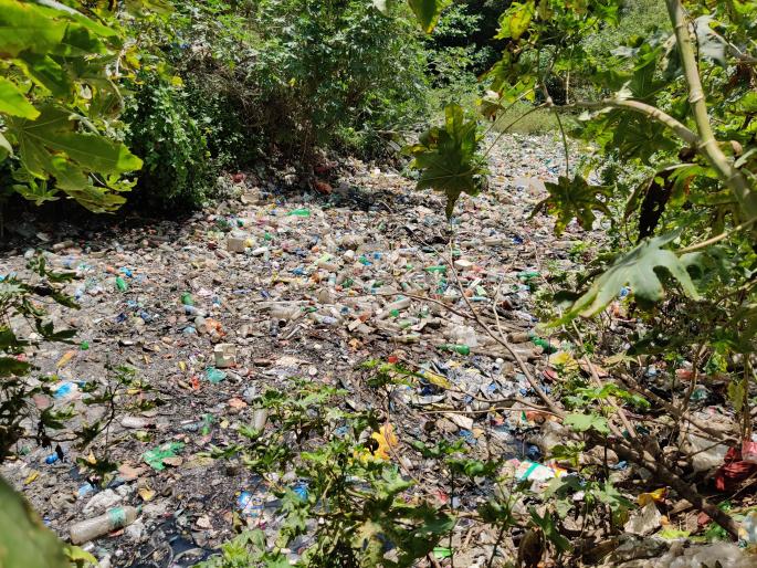 ditches and gullies in Mira Bhayander were filled with garbage | मीरा भाईंदर मधील खाडया व नाले कचऱ्याने भरले; पालिकेची नालेसफाई फोल तर कचरा टाकणारायांना अभय ditches and gullies in Mira Bhayander were filled with garbage | मीरा भाईंदर मधील खाडया व नाले कचऱ्याने भरले; पालिकेची नालेसफाई फोल तर कचरा टाकणारायांना अभय