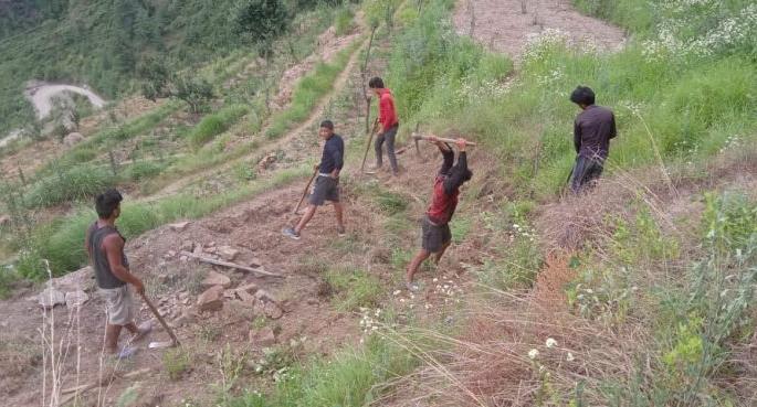 In Nagpur too, the names of forest laborers were found in the Forest Development Corporation? | नागपुरातही वनविकास महामंडळात वनमजुरांच्या नावे घाेटाळा?