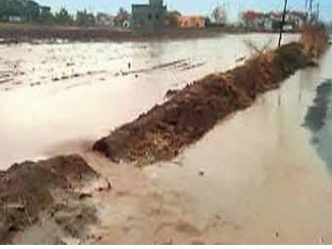 Comforting news; Heavy rain in Malshiras taluka on Friday morning | दिलासादायक बातमी; माळशिरस तालुक्यात शुक्रवारी पहाटे मुसळधार पाऊस Comforting news; Heavy rain in Malshiras taluka on Friday morning | दिलासादायक बातमी; माळशिरस तालुक्यात शुक्रवारी पहाटे मुसळधार पाऊस