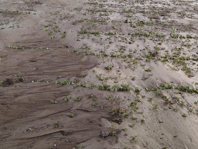 Hingoli receives an average rainfall of 28 mm | हिंगोलीत तीन मंडळांमध्ये अतिवृष्टी; जिल्ह्यात २८ मिमी पाऊस Hingoli receives an average rainfall of 28 mm | हिंगोलीत तीन मंडळांमध्ये अतिवृष्टी; जिल्ह्यात २८ मिमी पाऊस