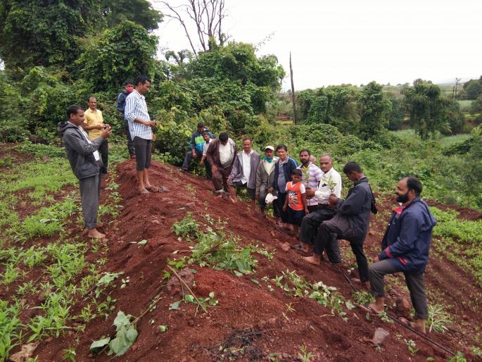 Hundreds of hands rushed to Jyotirlinga temple to take care of Khurd Devrai! | ज्योतिर्लिंग मंदिर केळोशी खुर्द देवराई संगोपनासाठी सरसावले शेकडो हात ! Hundreds of hands rushed to Jyotirlinga temple to take care of Khurd Devrai! | ज्योतिर्लिंग मंदिर केळोशी खुर्द देवराई संगोपनासाठी सरसावले शेकडो हात !