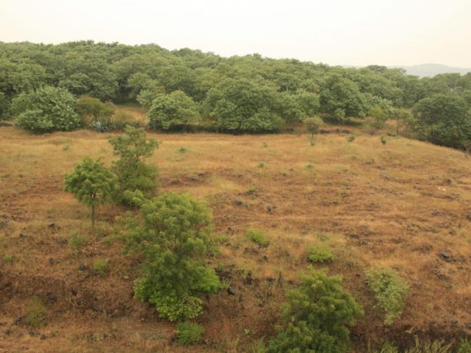 More than hundreds 'oxgen ventilators' made by ' vanchari' | ‘वनचारी’ ने बनवले शंभरहून अधिक ‘आॅक्सिजन व्हेंटिलेटर’ More than hundreds 'oxgen ventilators' made by ' vanchari' | ‘वनचारी’ ने बनवले शंभरहून अधिक ‘आॅक्सिजन व्हेंटिलेटर’