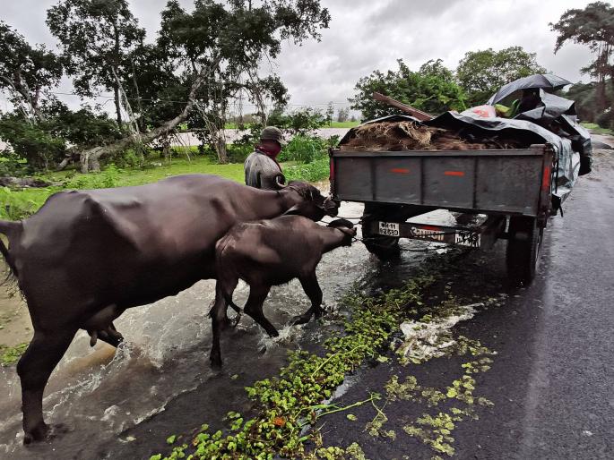 For the second day in a row, the drought hit | सलग दुसऱ्या दिवशी वळवाने झोडपले