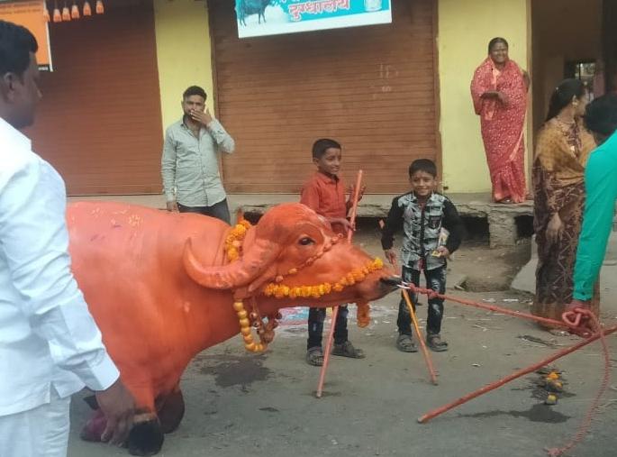 Home worship of Gawli brothers at Chalisgaon this year | चाळीसगावला यंदा गवळी बांधवांचे घरगुती सगर पूजन Home worship of Gawli brothers at Chalisgaon this year | चाळीसगावला यंदा गवळी बांधवांचे घरगुती सगर पूजन