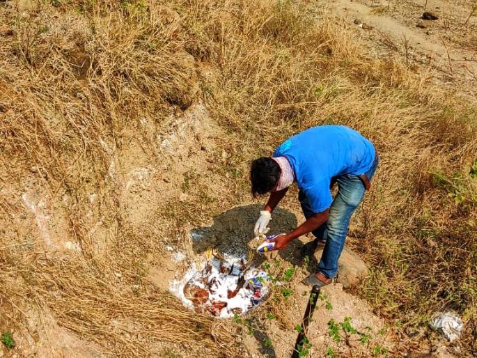 in Saratewadgaon; Excitement over the death of 2 crows n 16 hens | सराटेवडगावमध्ये १६ कोंबड्या; २ कावळ्यांच्या मृत्यूने खळबळ in Saratewadgaon; Excitement over the death of 2 crows n 16 hens | सराटेवडगावमध्ये १६ कोंबड्या; २ कावळ्यांच्या मृत्यूने खळबळ