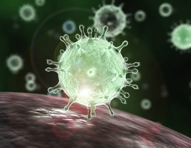 Coronavirus In Pune: 5,600 new coronaviruses in Pune and 2,904 in Pimpri on Tuesday | Coronavirus In Pune : पुणे शहरात मंगळवारी ५ हजार ६०० तर पिंपरीत २ हजार ९०४ नवे कोरोनाबाधित Coronavirus In Pune: 5,600 new coronaviruses in Pune and 2,904 in Pimpri on Tuesday | Coronavirus In Pune : पुणे शहरात मंगळवारी ५ हजार ६०० तर पिंपरीत २ हजार ९०४ नवे कोरोनाबाधित