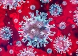 Coronavirus Pune:The number of 6 thousand patients increased and 5,609 recovered | Coronavirus Pune : पुणे शहरात शनिवारी ६ हजार कोरोना रूग्णांची वाढ; ५,६०९ रुग्ण झाले बरे Coronavirus Pune:The number of 6 thousand patients increased and 5,609 recovered | Coronavirus Pune : पुणे शहरात शनिवारी ६ हजार कोरोना रूग्णांची वाढ; ५,६०९ रुग्ण झाले बरे