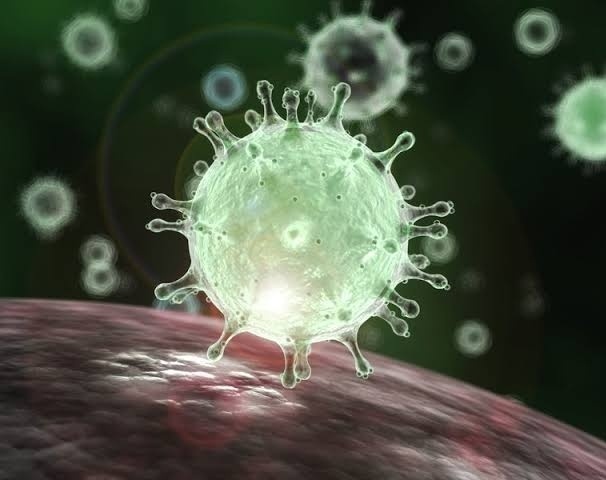 Coronavirus Pune: 9,841 new patients in Pune district on Thursday; 9,186 defeated Corona | Coronavirus Pune : पुणे जिल्ह्यात गुरूवारी ९ हजार ८४१ नवे रुग्ण;९,१८६ जणांची कोरोनावर मात Coronavirus Pune: 9,841 new patients in Pune district on Thursday; 9,186 defeated Corona | Coronavirus Pune : पुणे जिल्ह्यात गुरूवारी ९ हजार ८४१ नवे रुग्ण;९,१८६ जणांची कोरोनावर मात