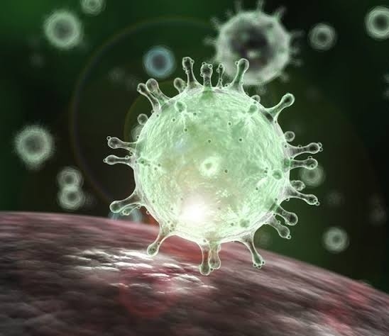 Corona virus Pune : Comfortable! 973 new corona affected in Pune on Friday; 2 thousand 496 people defeated Corona | Corona virus Pune: दिलासादायक! पुणे शहरात शुक्रवारी ९७३ नवे कोरोनाबाधित; २ हजार ४९६ जणांची कोरोनावर मात Corona virus Pune : Comfortable! 973 new corona affected in Pune on Friday; 2 thousand 496 people defeated Corona | Corona virus Pune: दिलासादायक! पुणे शहरात शुक्रवारी ९७३ नवे कोरोनाबाधित; २ हजार ४९६ जणांची कोरोनावर मात