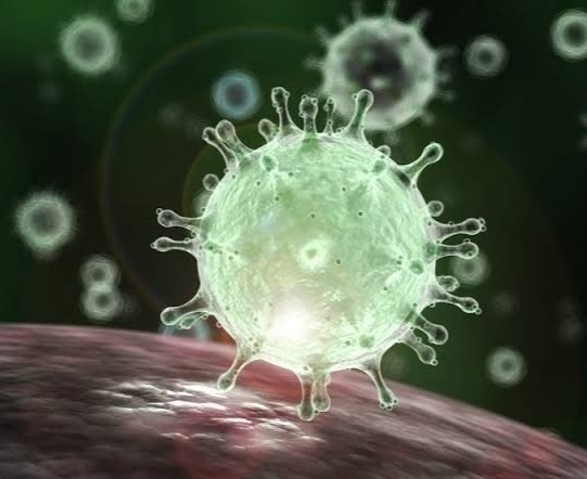 Great ! Corona virus spread in all country ; But nine villages in Mulshi taluka blocked Corona at the border | दिल्लीपासून ते गल्लीपर्यंत कोरोनाचा हाहा:कार ; पण मुळशीतील ९ गावांनी कोरोना रोखला सीमेवर  Great ! Corona virus spread in all country ; But nine villages in Mulshi taluka blocked Corona at the border | दिल्लीपासून ते गल्लीपर्यंत कोरोनाचा हाहा:कार ; पण मुळशीतील ९ गावांनी कोरोना रोखला सीमेवर