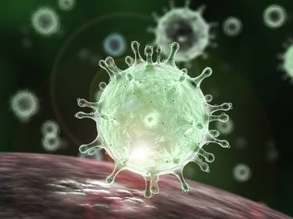 Corona virus Pune : 573 new patients added in Pune on Friday: 999 people recovered from corona | Corona virus Pune : पुणे शहरात शुक्रवारी ५७३ नव्या रुग्णांची वाढ : ९९९ जणांची कोरोनावर मात