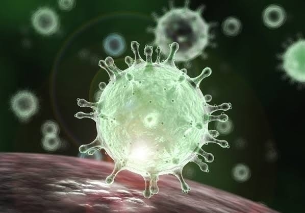 Corona virus Pune: 246 new corona patients and 351 cases were recovered in Pune on Tuesday | Corona virus Pune : पुणे शहरात मंगळवारी २४६ नवे कोरोनाबाधित तर ३५१ रुग्णांची मात Corona virus Pune: 246 new corona patients and 351 cases were recovered in Pune on Tuesday | Corona virus Pune : पुणे शहरात मंगळवारी २४६ नवे कोरोनाबाधित तर ३५१ रुग्णांची मात