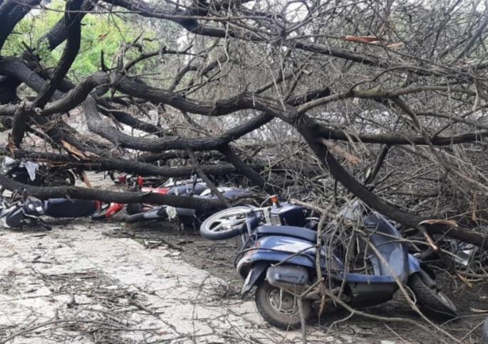 Pune Rain: Heavy rain in Pune city on friday , 22 vehicles damaged due to fall down big tree in katraj | Pune Rain : पुणे शहरात सलग दुसऱ्या दिवशी दमदार पावसाची हजेरी, कात्रजला झाडपडीच्या घटनेमध्ये २२ वाहनांचे नुकसान Pune Rain: Heavy rain in Pune city on friday , 22 vehicles damaged due to fall down big tree in katraj | Pune Rain : पुणे शहरात सलग दुसऱ्या दिवशी दमदार पावसाची हजेरी, कात्रजला झाडपडीच्या घटनेमध्ये २२ वाहनांचे नुकसान