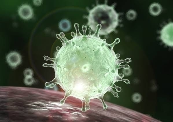 Corona virus Pune: 280 new corona patients in Pune city on Friday: 318 corona free | Corona virus Pune : पुणे शहरात शुक्रवारी २८० नवे कोरोनाबाधित : ३१८ कोरोनामुक्त Corona virus Pune: 280 new corona patients in Pune city on Friday: 318 corona free | Corona virus Pune : पुणे शहरात शुक्रवारी २८० नवे कोरोनाबाधित : ३१८ कोरोनामुक्त