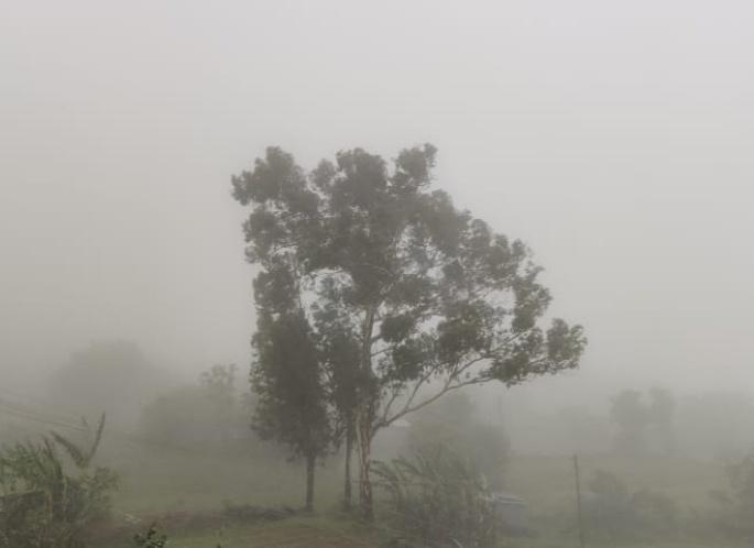 Weather Alert: Heavy rains in Konkan, Central Maharashtra, Vidarbha | Weather Alert : कोकण, मध्य महाराष्ट्र, विदर्भात तुरळक ठिकाणी जोरदार पाऊस  Weather Alert: Heavy rains in Konkan, Central Maharashtra, Vidarbha | Weather Alert : कोकण, मध्य महाराष्ट्र, विदर्भात तुरळक ठिकाणी जोरदार पाऊस