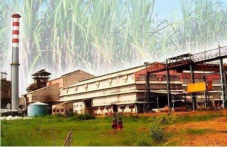 112 lakh tonnes of sugar produced next year in the country | राज्यात आगामी वर्षात ११२ लाख टन साखर निर्मिती होणार ; इथेनॉल ऊत्पादन वाढविण्यावर भर