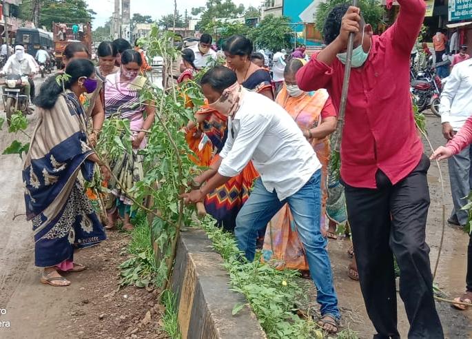 Patholes on roads in Risod city, People Protest | रिसोड शहरात रस्त्यावरील खड्ड्यांमध्ये लावली बेशरमची झाडे Patholes on roads in Risod city, People Protest | रिसोड शहरात रस्त्यावरील खड्ड्यांमध्ये लावली बेशरमची झाडे