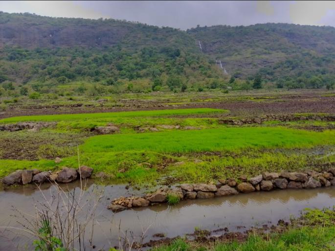 Where have the bounty land laws gone? The original owner is landless! | इनामी जमिनीचे कायदे गेले कुठे? मूळ मालक होतायेत भूमिहीन ! Where have the bounty land laws gone? The original owner is landless! | इनामी जमिनीचे कायदे गेले कुठे? मूळ मालक होतायेत भूमिहीन !