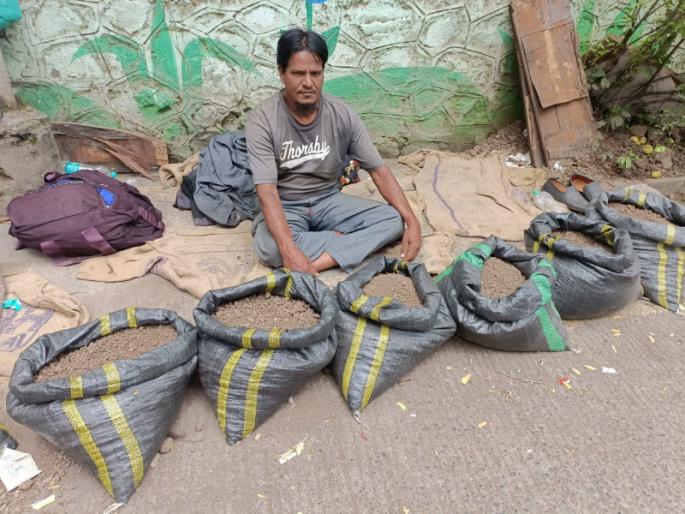 Price of black soil in cement forest Mass sale at a discount | सिमेंटच्या जंगलात काळया मातीला माेलाचा भाव; घटस्थापनेला मोठ्या प्रमाणावर विक्री