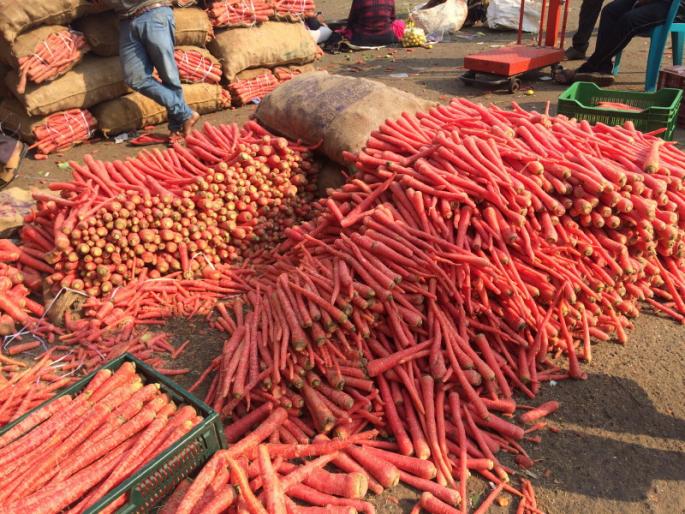 carrot are in law price now, available in puneys market yard | आता करा गाजर हलव्याचा बेत ; राजस्थानातील गाजरांचा हंगाम जोमात carrot are in law price now, available in puneys market yard | आता करा गाजर हलव्याचा बेत ; राजस्थानातील गाजरांचा हंगाम जोमात