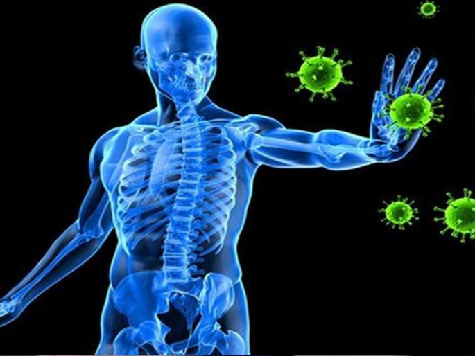 The immune system can be low by doing this mistake in diet myb | रोगप्रतिकारकशक्ती कमी करू शकते 'ही' लहान चुक, नकळतपणे व्हाल इन्फेक्शनचं शिकार The immune system can be low by doing this mistake in diet myb | रोगप्रतिकारकशक्ती कमी करू शकते 'ही' लहान चुक, नकळतपणे व्हाल इन्फेक्शनचं शिकार