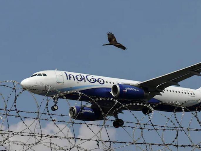 IndiGo suffers blow; 4 flight operations inspectors suspended | इंडिगोला दणका; ४ फ्लाइट ऑपरेशन इन्स्पेक्टर निलंबित, सीईओ पीटर एल्बर्स यांची सलग दुसऱ्या दिवशी डीजीसीएने चौकशी केली IndiGo suffers blow; 4 flight operations inspectors suspended | इंडिगोला दणका; ४ फ्लाइट ऑपरेशन इन्स्पेक्टर निलंबित, सीईओ पीटर एल्बर्स यांची सलग दुसऱ्या दिवशी डीजीसीएने चौकशी केली