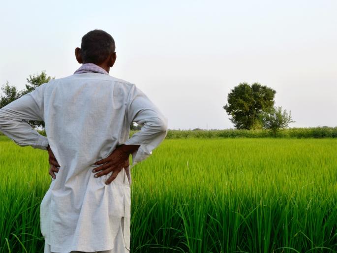 In e-KYC, Washim district is at the top position in the state and Bhandara is at the second position | ई-केवायसीत राज्यात वाशिम जिल्हा अव्वल तर भंडारा दुसऱ्या क्रमांकावर  In e-KYC, Washim district is at the top position in the state and Bhandara is at the second position | ई-केवायसीत राज्यात वाशिम जिल्हा अव्वल तर भंडारा दुसऱ्या क्रमांकावर