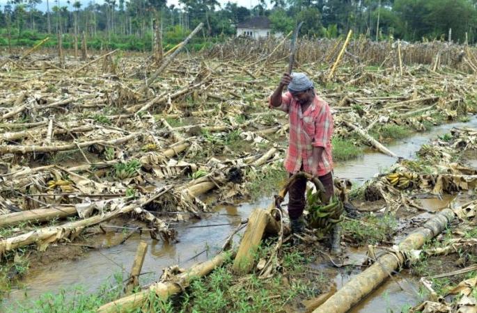 Adverse effects of climate change on agriculture in the state | हवामान बदलाचा राज्यातील शेतपिकांवर वाईट परिणाम Adverse effects of climate change on agriculture in the state | हवामान बदलाचा राज्यातील शेतपिकांवर वाईट परिणाम