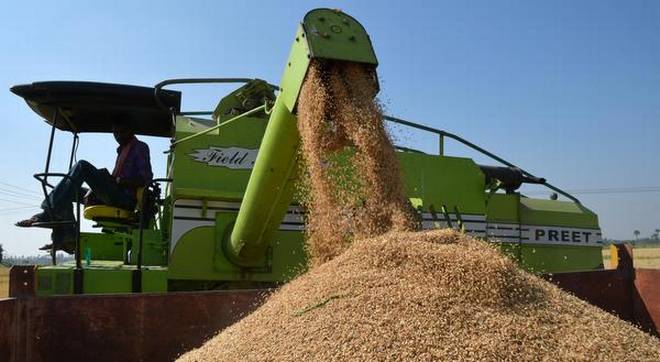 There will be nothing to increase the guarantee rates of crop | हमीभाव वाढवून काही होणार नाही! There will be nothing to increase the guarantee rates of crop | हमीभाव वाढवून काही होणार नाही!