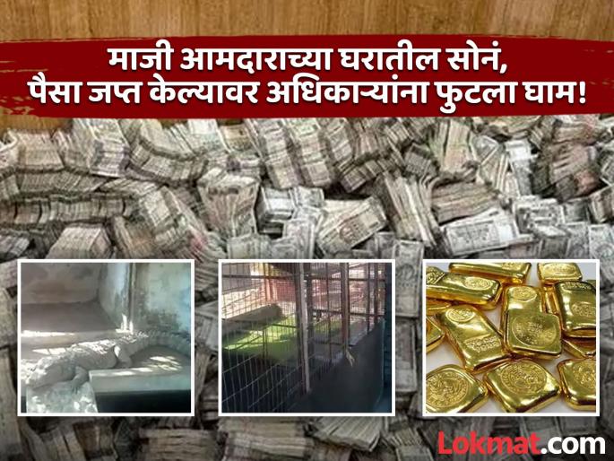 IT raids former BJP MLA's house! Crores of rupees, gold and three crocodiles found | भाजपच्या माजी आमदाराच्या घरावर IT ची धाड! सापडले कोट्यवधी रुपये, सोनं आणि तीन मगरी