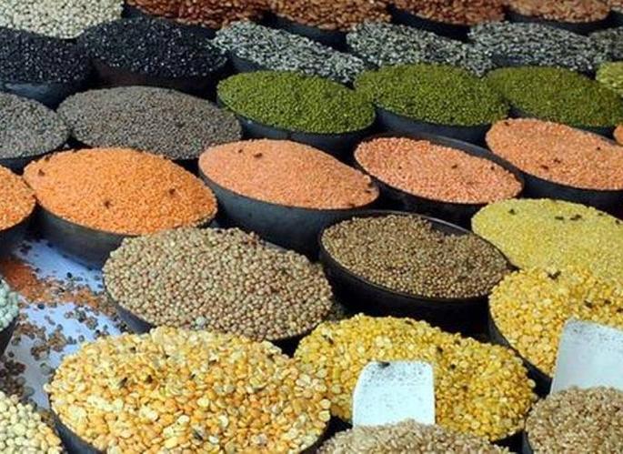 Corona causes people to become vegetarian: Sales of pulses increased by 30 percent in Nagpur | कोरोनामुळे लोक झालेत शाकाहारी : नागपुरात डाळींची विक्री ३० टक्के वाढली Corona causes people to become vegetarian: Sales of pulses increased by 30 percent in Nagpur | कोरोनामुळे लोक झालेत शाकाहारी : नागपुरात डाळींची विक्री ३० टक्के वाढली