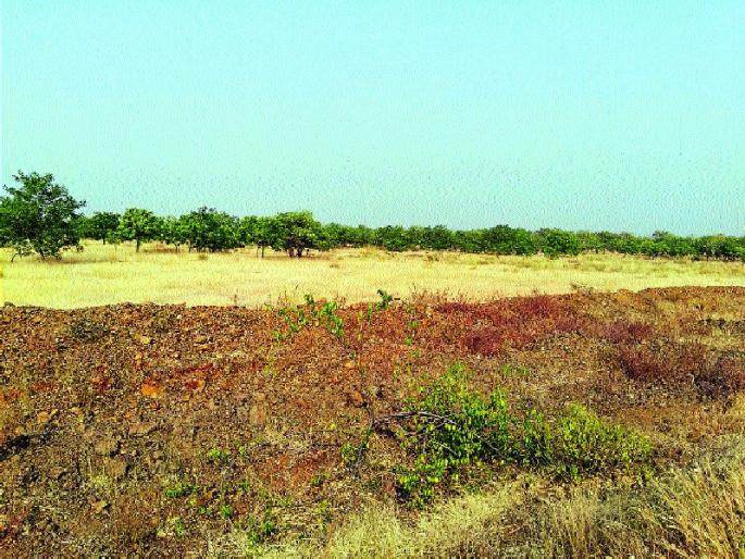 Indaputara lake becomes dry, dark shadow of drought | इंदापुरात तलाव झाले कोरडे, दुष्काळाची छाया गडद Indaputara lake becomes dry, dark shadow of drought | इंदापुरात तलाव झाले कोरडे, दुष्काळाची छाया गडद