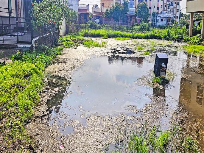The road on the way to the palanquin was in poor condition, the coconuts for the foundation stone ceremony were broken four times, the work has not even started. | पालखी येण्याच्या मार्गावरच्या रस्त्याची दुरवस्था, चारवेळा भूमिपूजनाचे नारळ फुटले, काम सुरू झालेच नाही The road on the way to the palanquin was in poor condition, the coconuts for the foundation stone ceremony were broken four times, the work has not even started. | पालखी येण्याच्या मार्गावरच्या रस्त्याची दुरवस्था, चारवेळा भूमिपूजनाचे नारळ फुटले, काम सुरू झालेच नाही