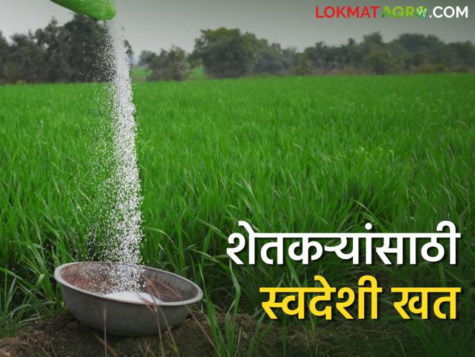 4 production plants which were closed to meet the requirement of urea are restarted | युरियाची गरज पूर्ण करण्यासाठी बंद पडलेले ४ निर्मिती प्रकल्प पुन्हा सुरू 4 production plants which were closed to meet the requirement of urea are restarted | युरियाची गरज पूर्ण करण्यासाठी बंद पडलेले ४ निर्मिती प्रकल्प पुन्हा सुरू