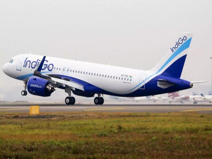 IndiGo offloads Bengaluru doctor after he complains about mosquito problem | डास असल्याची तक्रार केल्यानं इंडिगोनं प्रवाशाला उतरवलं IndiGo offloads Bengaluru doctor after he complains about mosquito problem | डास असल्याची तक्रार केल्यानं इंडिगोनं प्रवाशाला उतरवलं