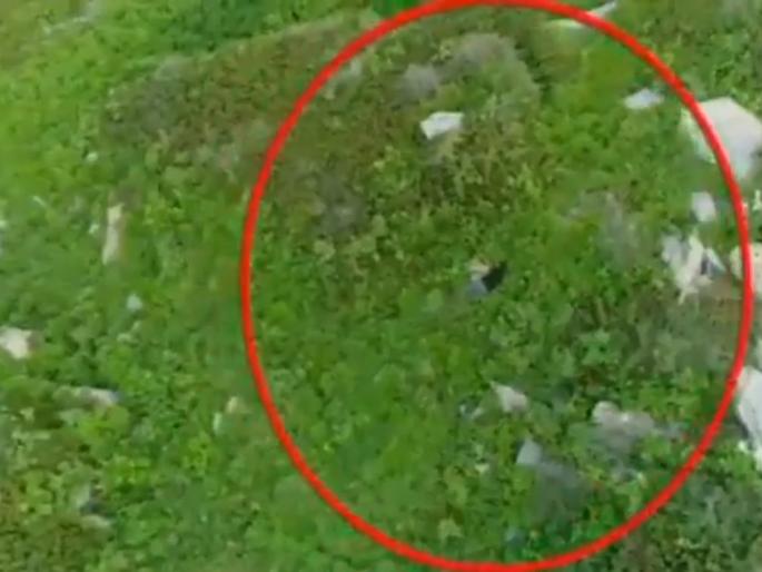 Video: Pakistani Border Action Team Infiltration Video Released By Indian Army | Video: पाकिस्तानच्या नापाक कृत्याचा भारतीय लष्कराने केला पर्दाफाश Video: Pakistani Border Action Team Infiltration Video Released By Indian Army | Video: पाकिस्तानच्या नापाक कृत्याचा भारतीय लष्कराने केला पर्दाफाश