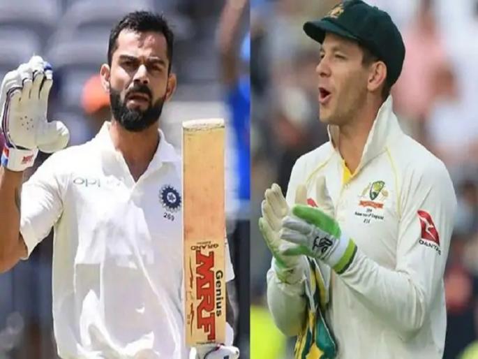 india vs australia : ‘Accidental’ hunting of an unconscious tiger by kangaroos | कांगारुंकडून बेसावध वाघाची ‘अपघाती’ शिकार india vs australia : ‘Accidental’ hunting of an unconscious tiger by kangaroos | कांगारुंकडून बेसावध वाघाची ‘अपघाती’ शिकार