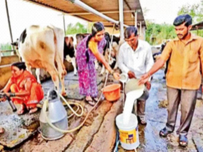 Taking sides with America is dangerous for Indian agriculture and farmers | अमेरिकेची बाजू घेणे भारतीय शेती आणि शेतकऱ्यांसाठी घातक Taking sides with America is dangerous for Indian agriculture and farmers | अमेरिकेची बाजू घेणे भारतीय शेती आणि शेतकऱ्यांसाठी घातक
