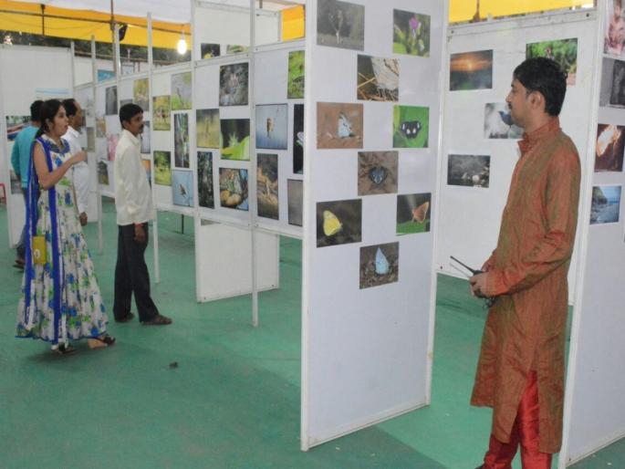 Dombivliit Indian Festival of Art begins today | डोंबिवलीत इंडियन फेस्टिव्हल ऑफ ऑर्टला आजपासून सुरूवात Dombivliit Indian Festival of Art begins today | डोंबिवलीत इंडियन फेस्टिव्हल ऑफ ऑर्टला आजपासून सुरूवात